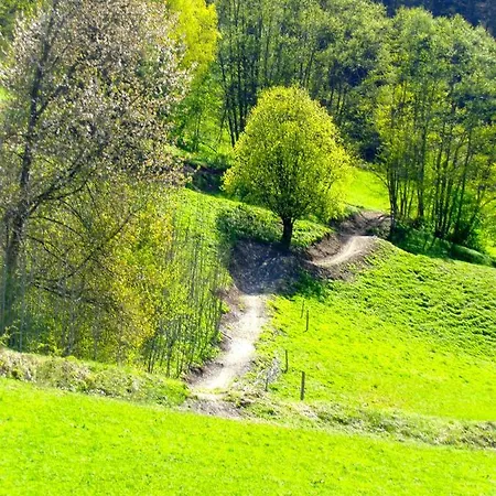 Apartement Gyarmaty Sankt Johann in Tirol Exteriér fotografie