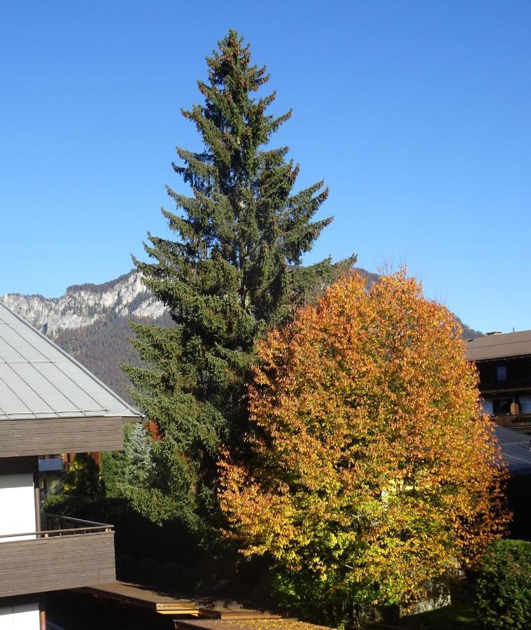 Gyarmaty Sankt Johann in Tirol