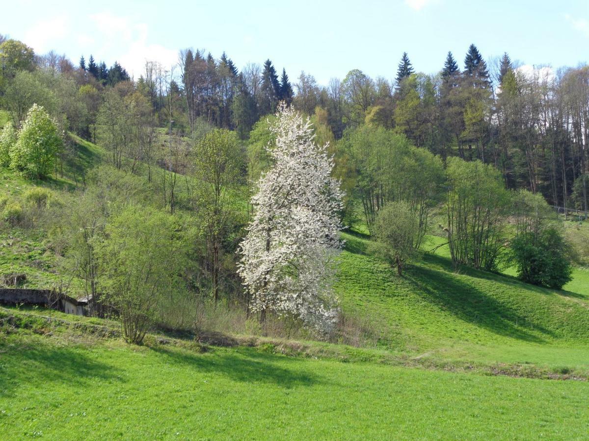 Gyarmaty St. Johann in Tirol